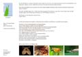 13__Uebersicht_mit_Texten__V2