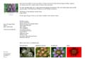 13__Uebersicht_mit_Texten